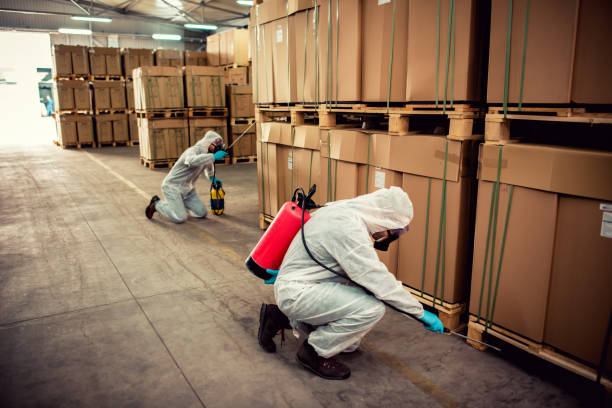 Best Pest Inspection Near Me  in Electra, TX