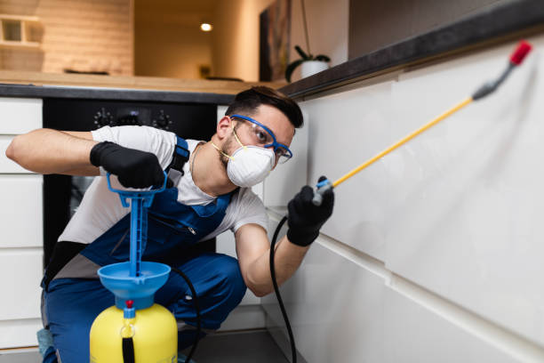 Best Mosquito Control Services  in Electra, TX