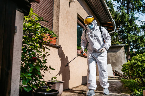 Best Affordable Pest Control Services  in Electra, TX